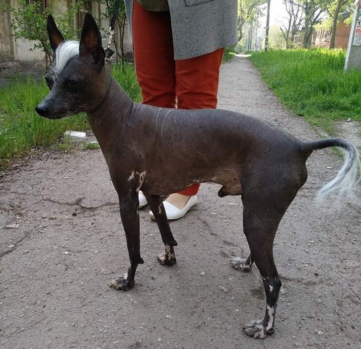 FB_IMG_1524993365898