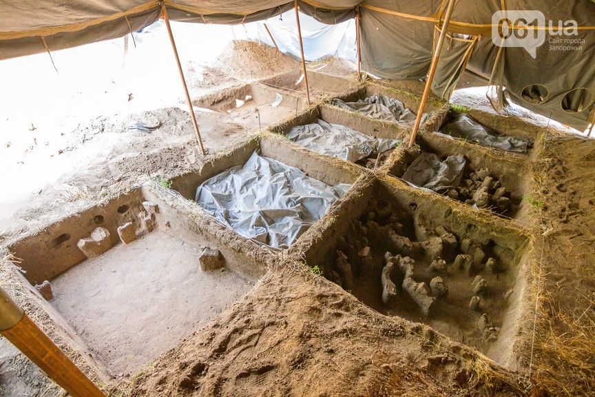 e546b252d96a6e9d688c1e697eb1ea26