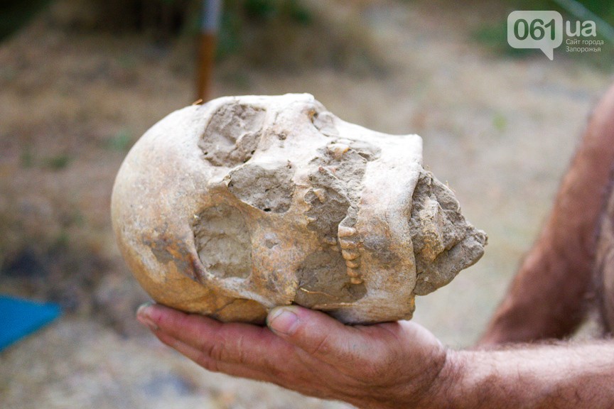 f9a92c8c9c7f8a313003c624d830edb7