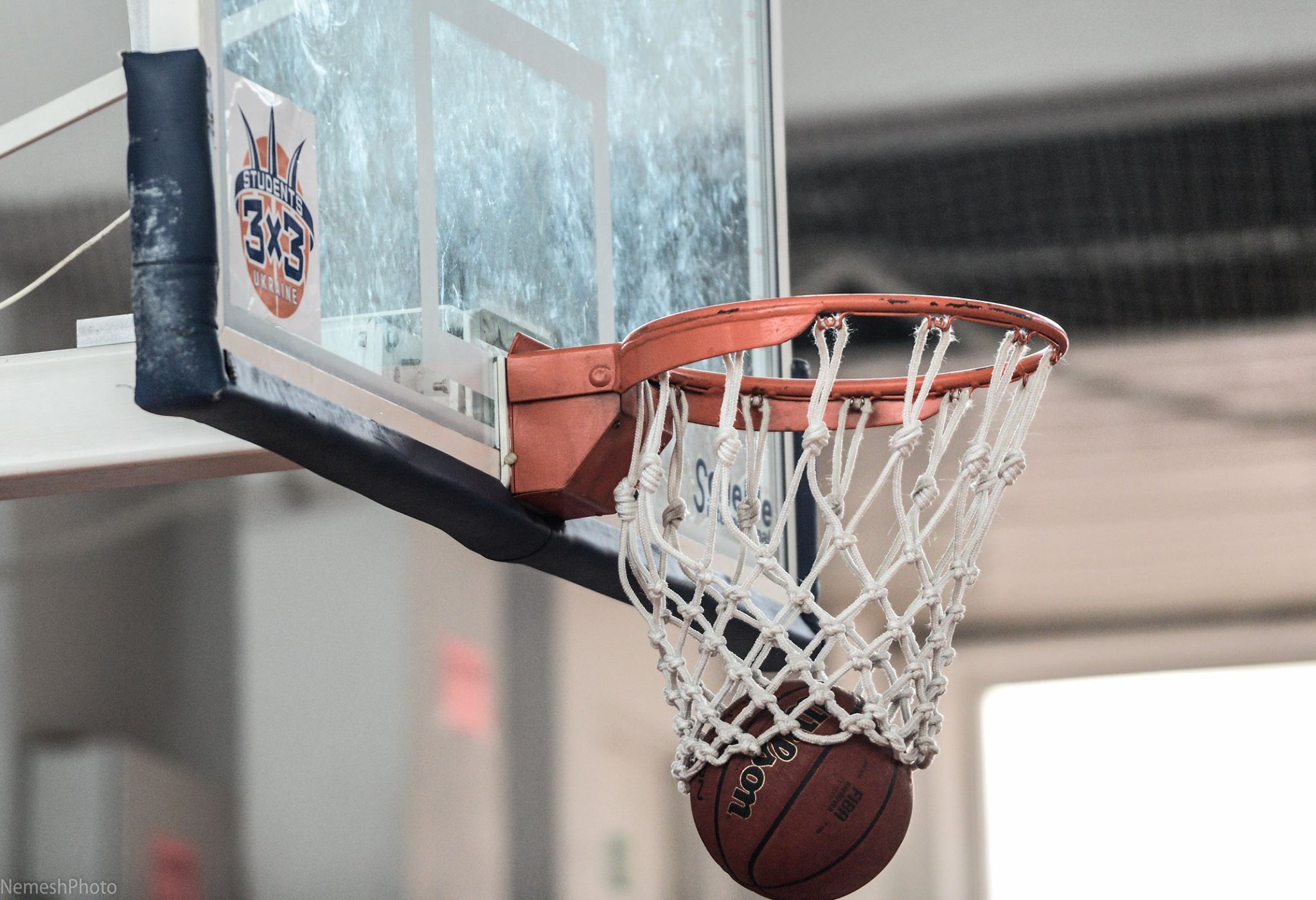 13305182_242613269443627_4157694489047162623_o