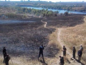 Появилось видео масштабного пожара на острове Хортица