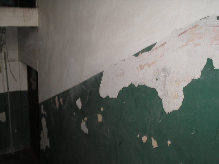 14695320_1160744447352743_4468270230960122283_n