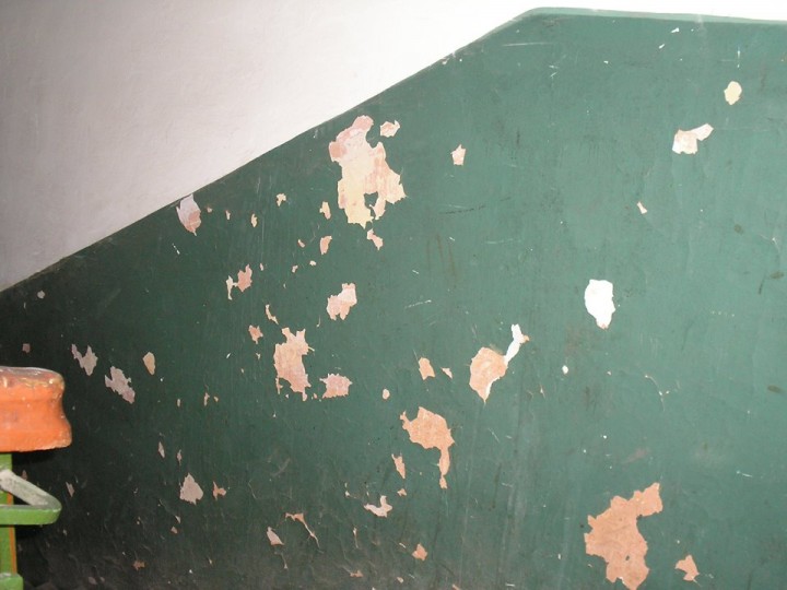 14702469_1160744317352756_6410354287829660297_n