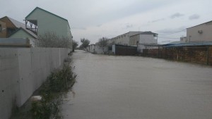 Запорожскую Кирилловку накрыло штормом: базы отдыха затоплены (ФОТО)