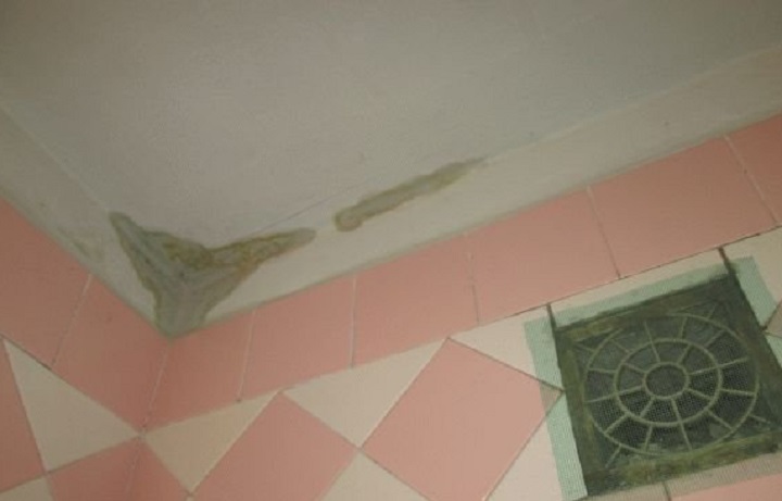 1475422865_img_0829_result