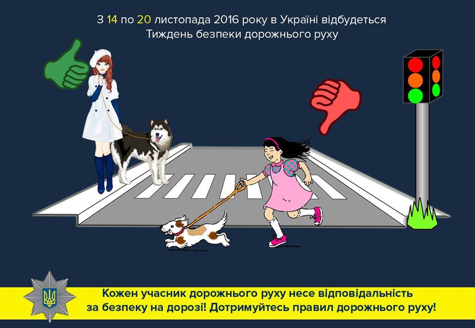 15032864_1150053715072738_8830418618919300359_n