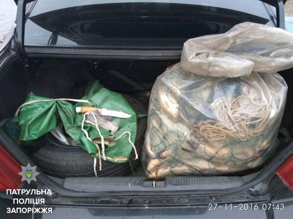 15232262_1165635160181260_6319127513297407844_n