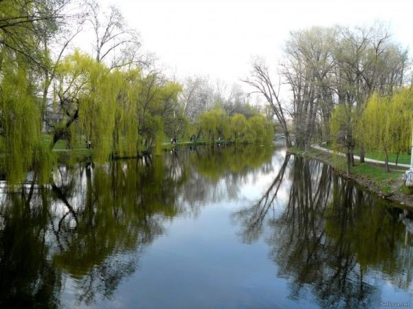 52272b8db165856bc849a70e81444468_600x1000