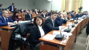 Константинова вышла из “УКРОПа” после скандала с публикацией в СМИ о депутатах-прогульщиках