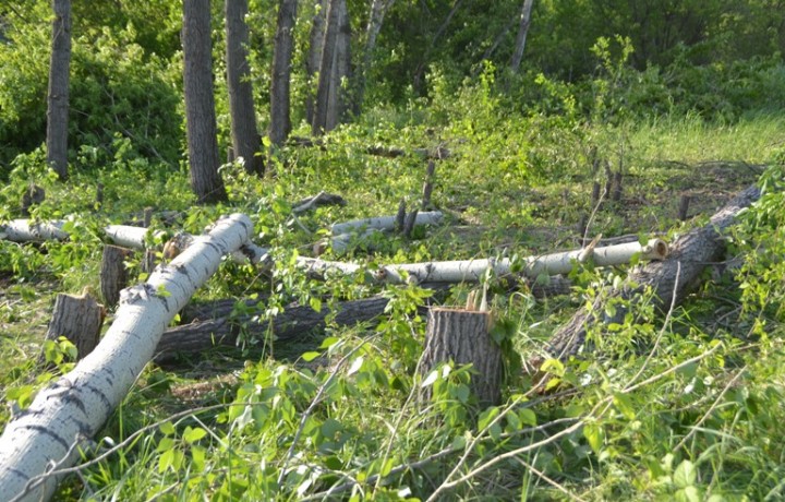 ????????????????????????????????????