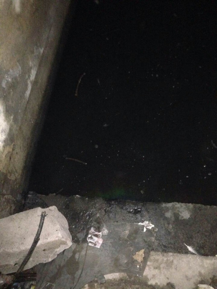 0-02-05-3508e5029c220fb75a85daceee1afdd55ca9c0bbffa688422a58b44816c59354_full