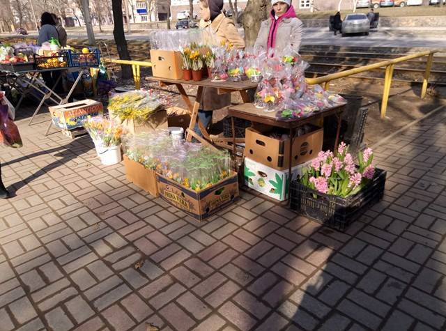 17160239_1341646005905305_1510327458_n (1)