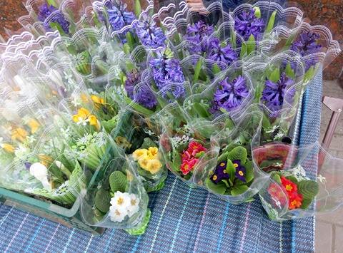 17199134_433876076945645_1226751147_n