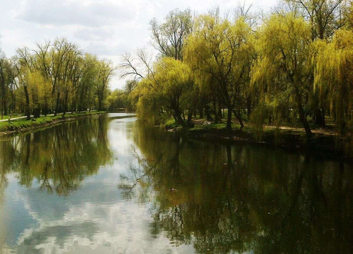 Дубовая_роща_04