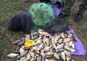 В Запорожье за неделю дважды задержали одного и того же браконьера