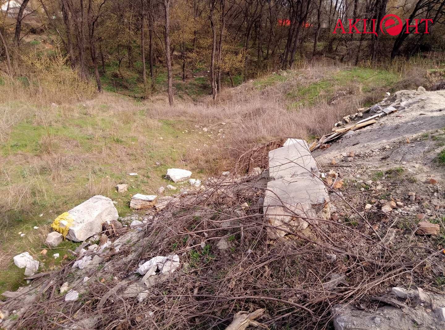 58e6207dd8c15_17820236_1372047782865127_2107741896_o