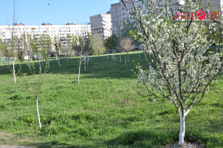 59024113ca93d_DSC_0789