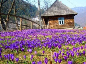 Майские праздники в Украине: куда отправиться запорожцам на выходные