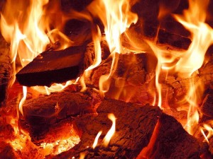 Спасатели ликвидировали пожар на автотранспортном предприятии Запорожья