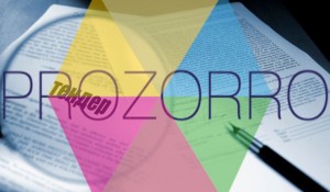 В Запорожье подряд на 9 миллионов получила донецкая фирма из орбиты бывшего “смотрящего”