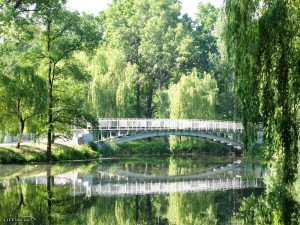 Для парка “Дубовый Гай” выделят более 700 тысяч