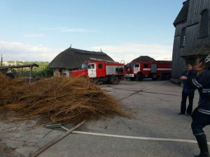 В Запорожье загорелся исторический комплекс на острове Хортица