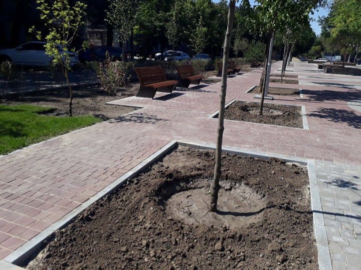 18679238_1975032992720679_867791447_n