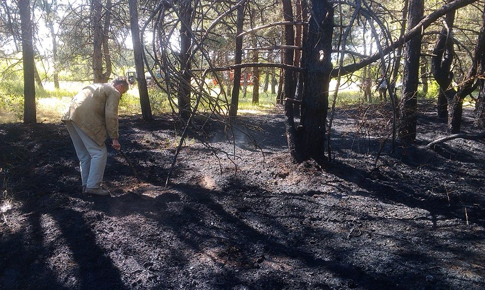 18740159_10155291289785891_2585999115744630759_n