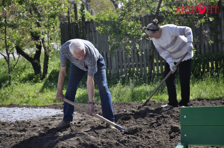 590cacdc726a1__DSC0913