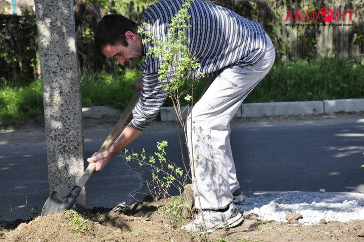 590cacdcb0308__DSC0895