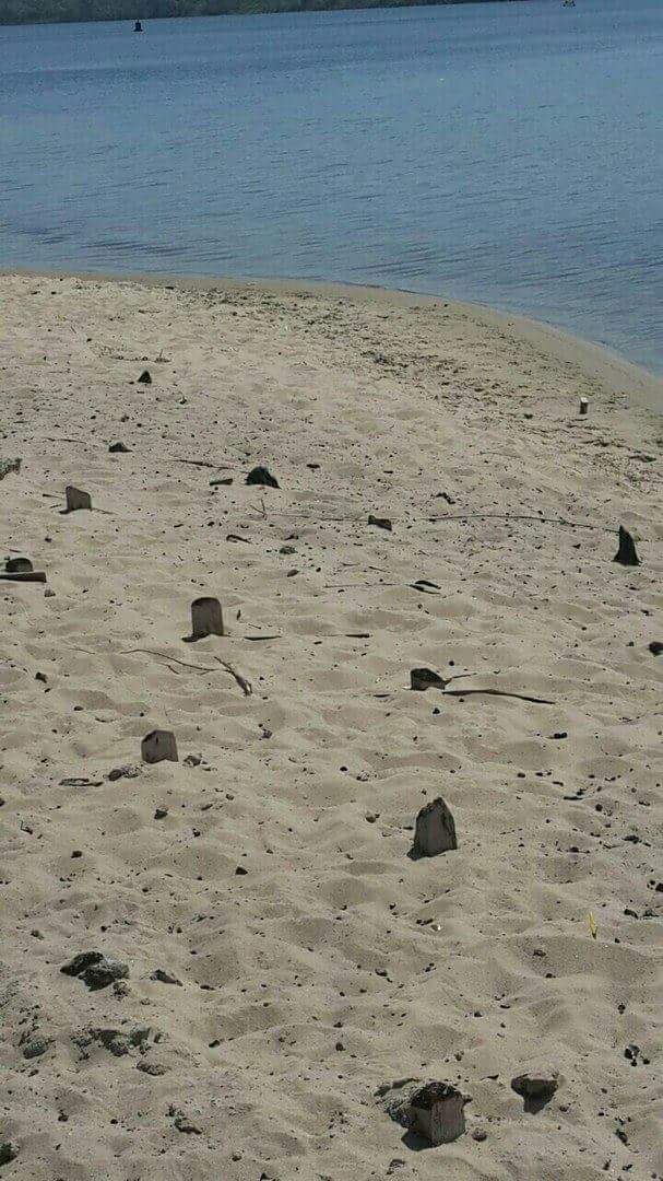 FB_IMG_1493964715116