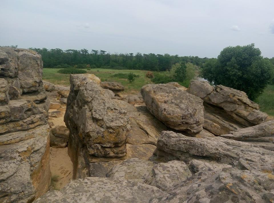 19369875_481189342214318_946300273_n