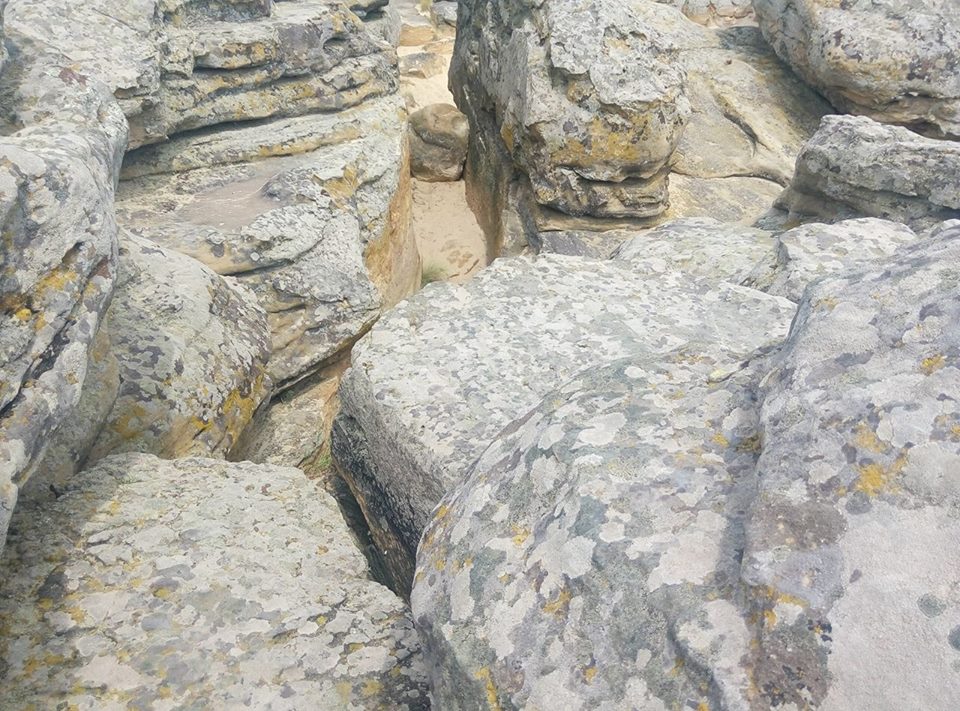 19389501_481189492214303_64895710_n