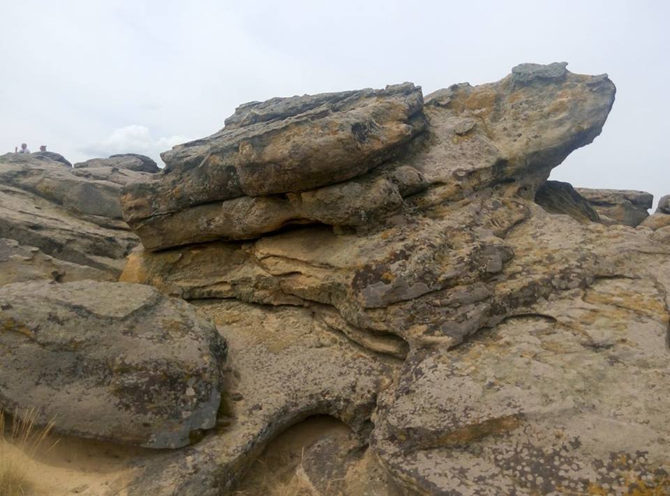 19397810_481189358880983_1501176049_n