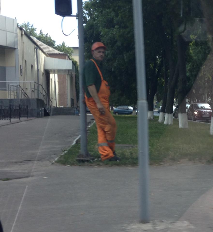 19511216_879753952163743_7147045424987070714_n