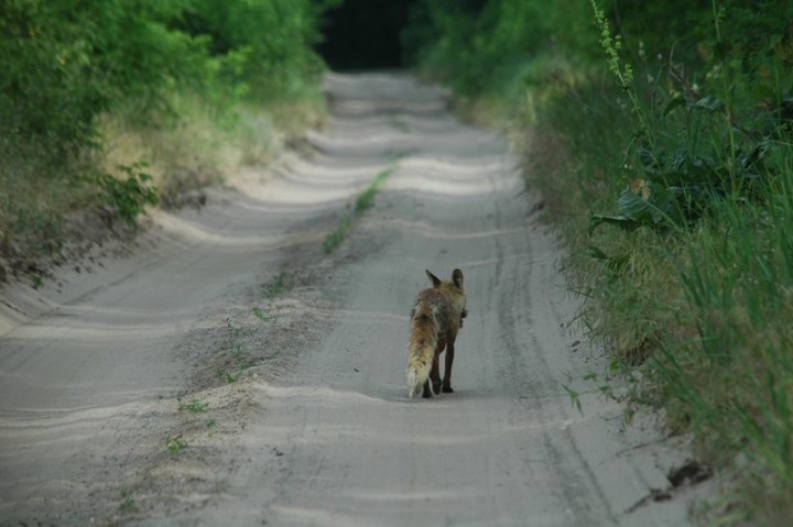 ????????????????????????????????????