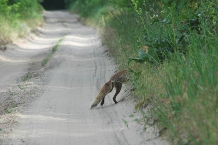 ????????????????????????????????????