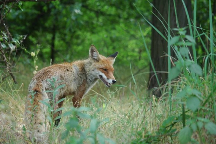 ????????????????????????????????????