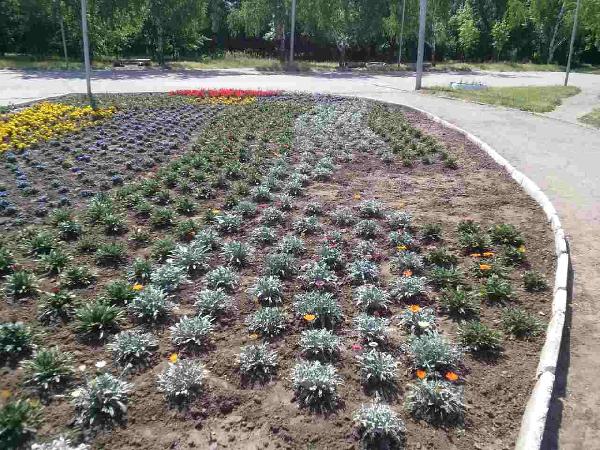 image-0-02-05-50d9a33178115e31f6c1acaed92a6e552ffad8bd541b31c630b87db0604329ee-V (1)