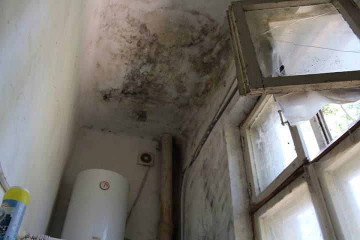 20140177_10155480289960891_30540981206634739_n