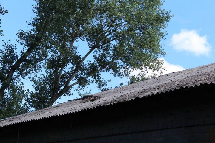 20155780_10155480290020891_4925913581824062716_n