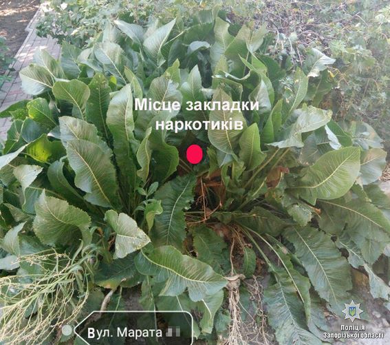 20264719_1240467232766630_8248319077781477651_n