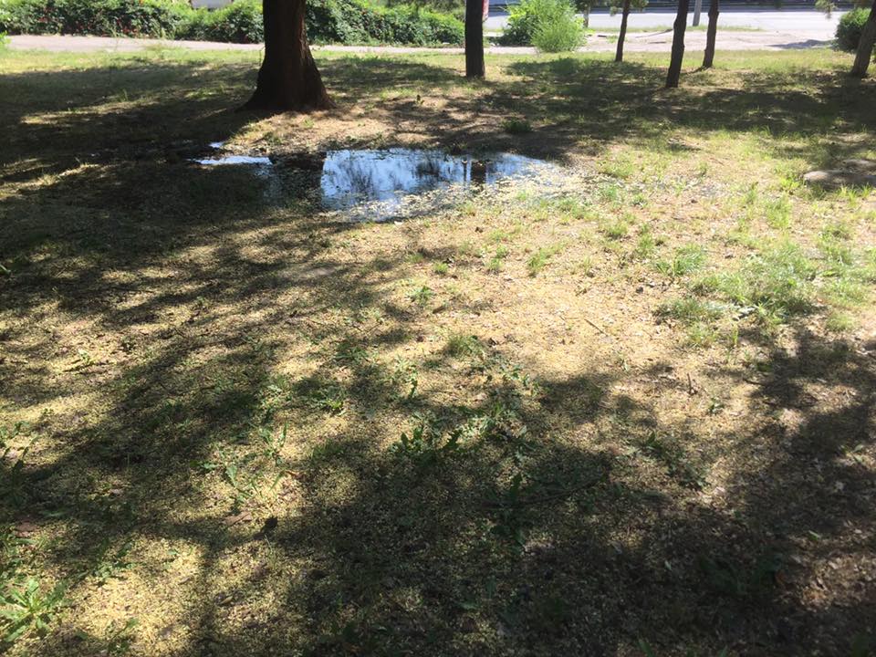 20264982_1414647918584819_8319400345676359332_n