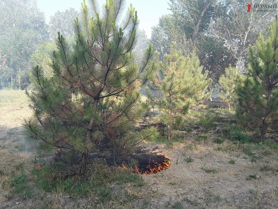 5958ac6e536ca_19668380_1215409971901400_618616962_n-1