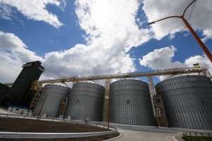 Перегрузочный терминал под Запорожьем принял первое зерно