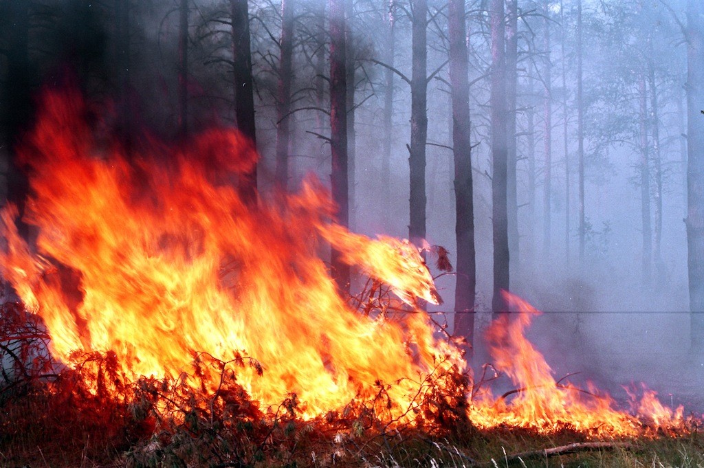 В Запорожской области пожарная опасность продержится еще минимум 4 дня