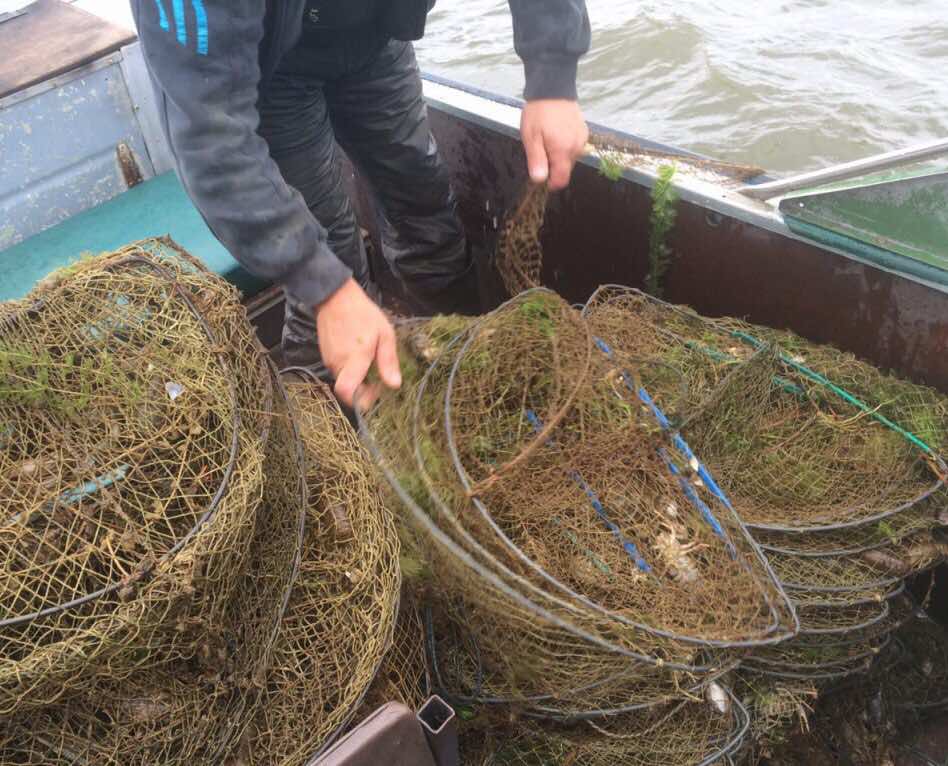 21192615_1991663234409726_5502736795484444419_n