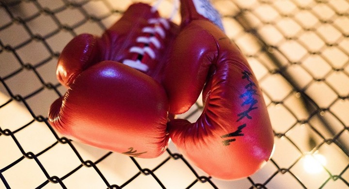 В Запорожье пройдет боксерский турнир «белых воротничков»