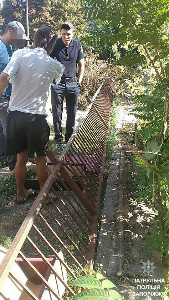 21740494_1439752522769521_1087851104003816754_n