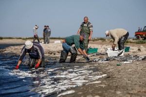 Трагедия в Молочном лимане: госорганы переводят стрелки друг на друга